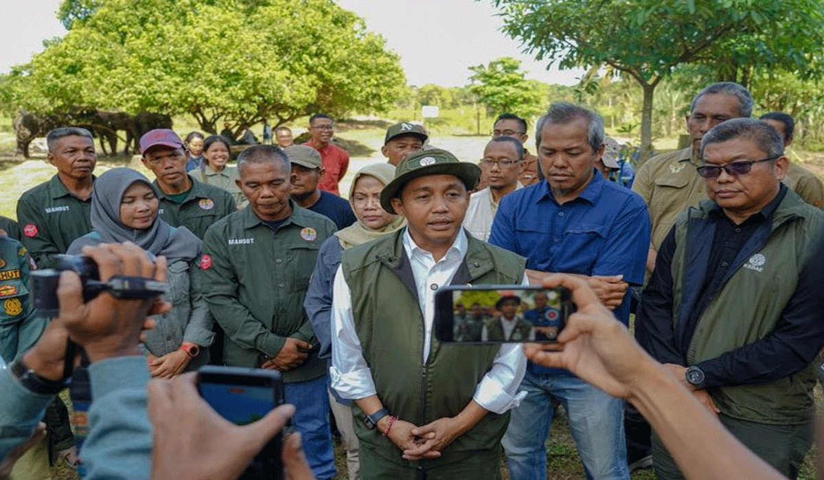 Menhut Sampaikan Belasungkawa, Kejadian Saat Banjir Aceh-Sumut