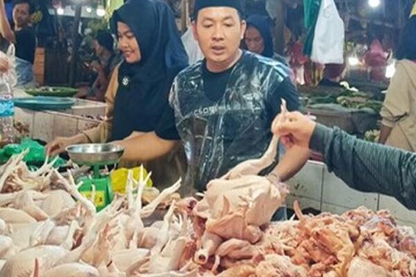 Jelang Libur Nataru, Harga Ayam Di Batam Melonjak Naik!