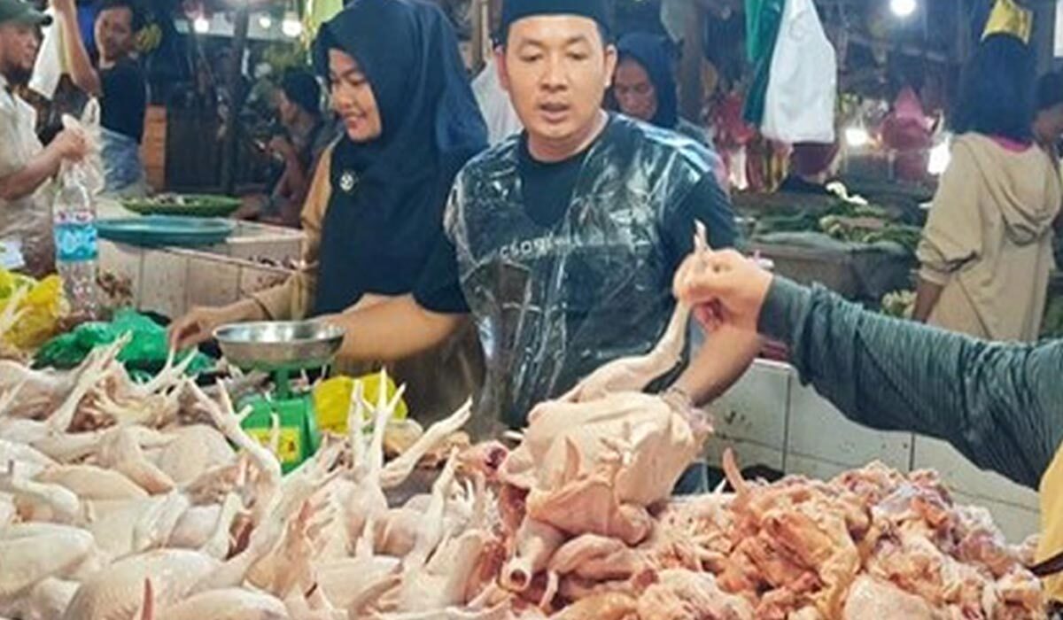 Jelang Libur Nataru, Harga Ayam Di Batam Melonjak Naik!