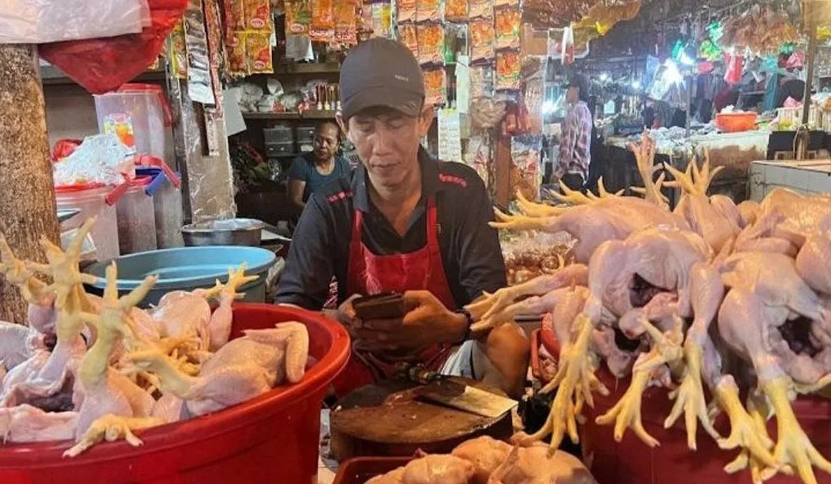 Respons Pedagang dan Pemerintah Daerah